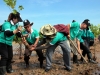 AYU-0066 Tree Planting