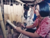 RWMF1998-18