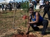 Rainforest World Music Festival RWMF2012 - Tree Planting
