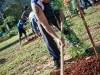 Rainforest World Music Festival RWMF2012 - Tree Planting
