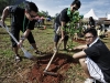 Rainforest World Music Festival RWMF2012 - Tree Planting