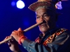 rwmf2013-concert-evening-shows-day1-101