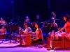 rwmf2013-concert-evening-shows-day1-106