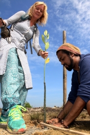 GHAZ-0054 Tree Planting