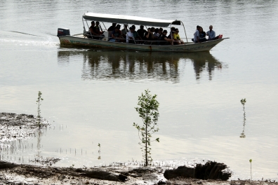 GHAZ-0102 Tree Planting