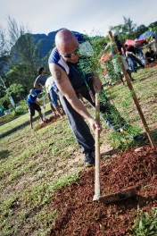 Rainforest World Music Festival RWMF2012 - Tree Planting