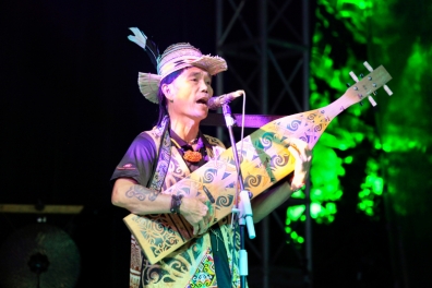 rwmf2013-concert-evening-shows-day1-103