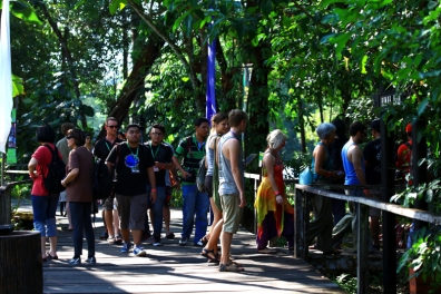 rwmf2013-surrounding-112